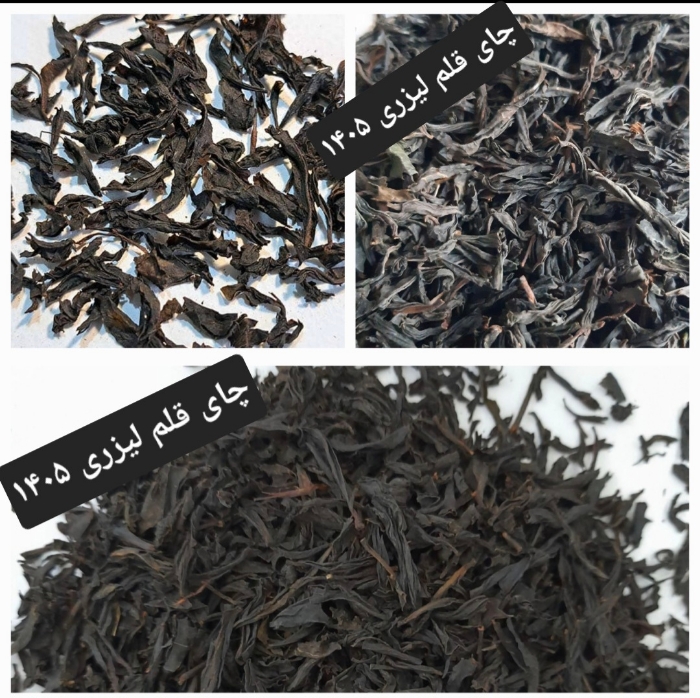 تصویر  چای قلم لیزری درشت 